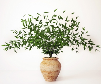 Modern Potted Green Plant-ID:561351566