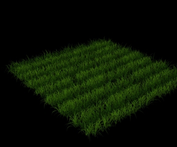 Modern The Grass-ID:698724353