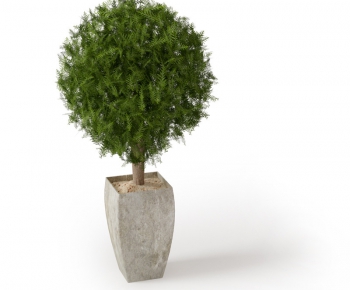 Modern Potted Green Plant-ID:428951187