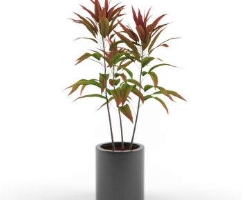 Modern Potted Green Plant-ID:252849634