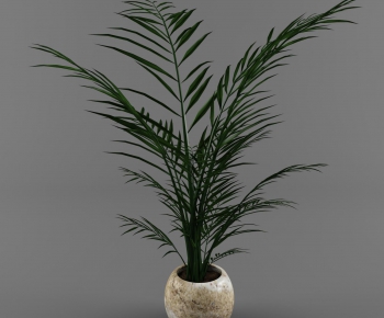 Modern Potted Green Plant-ID:129293879