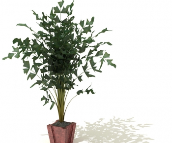 Modern Potted Green Plant-ID:560275799