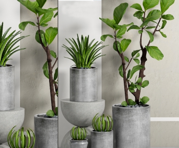 Modern Potted Green Plant-ID:561331897