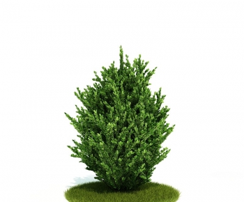Modern Tree/shrub/grass-ID:427576946
