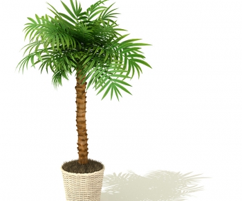 Modern Potted Green Plant-ID:338806665