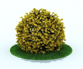 Modern Tree/shrub/grass-ID:383027691