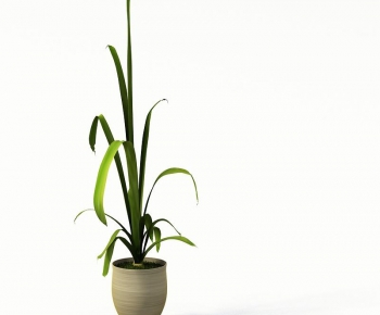 Modern Potted Green Plant-ID:649888856