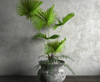 Modern Potted Green Plant-ID:984304298