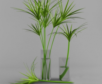 Modern Potted Green Plant-ID:362587776