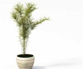 Modern Potted Green Plant-ID:770403376