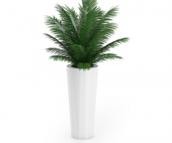 Modern Potted Green Plant-ID:918598751