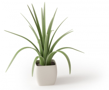 Modern Potted Green Plant-ID:606211389