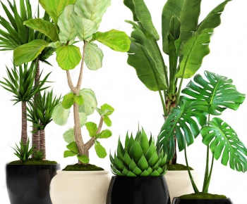 Modern Potted Green Plant-ID:643796989