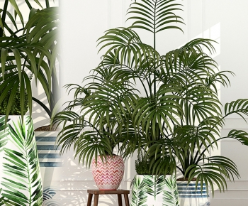 Modern Potted Green Plant-ID:483303386