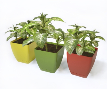 Modern Potted Green Plant-ID:570210578