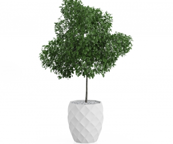Modern Potted Green Plant-ID:350822194