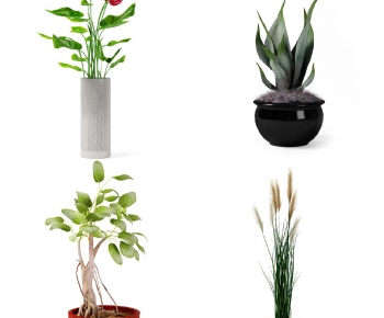 Modern Potted Green Plant-ID:296988262
