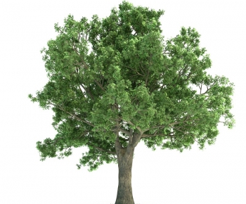 Modern Tree/shrub/grass-ID:278686658