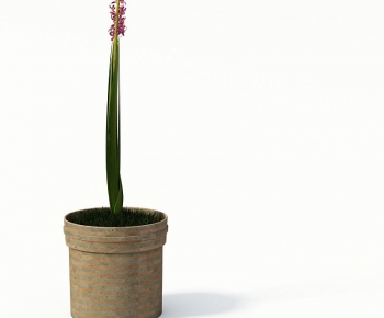 Modern Potted Green Plant-ID:582080824