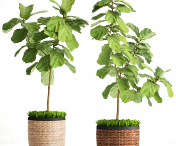 Modern Nordic Style Potted Green Plant-ID:315417455