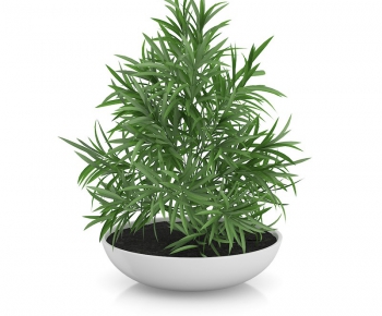 Modern Potted Green Plant-ID:191375894