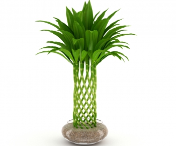 Modern Potted Green Plant-ID:338294444