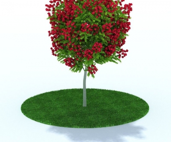 Modern Tree/shrub/grass-ID:363056782