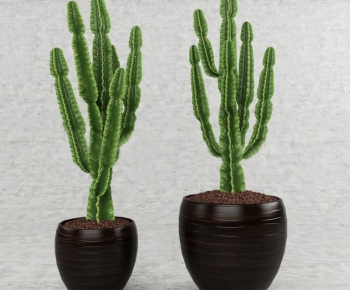 Modern Potted Green Plant-ID:500601398