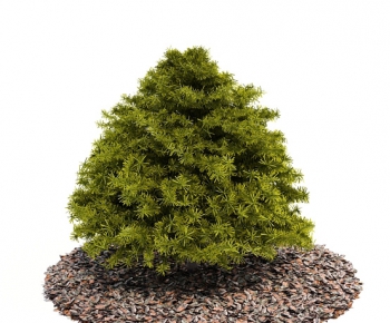 Modern Tree/shrub/grass-ID:544291393