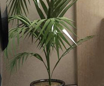 Modern Potted Green Plant-ID:776239351