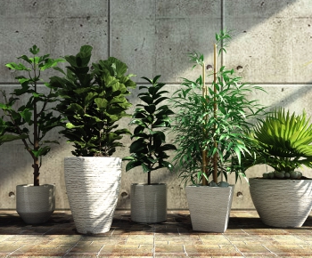 Modern Potted Green Plant-ID:235378195