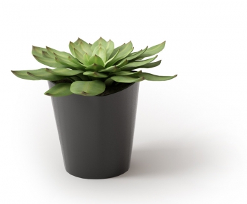 Modern Potted Green Plant-ID:474215382