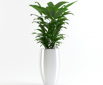 Modern Potted Green Plant-ID:545556883