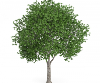 Modern Tree/shrub/grass-ID:389430564