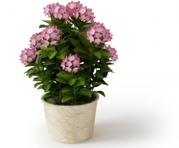 Modern Potted Green Plant-ID:580408291