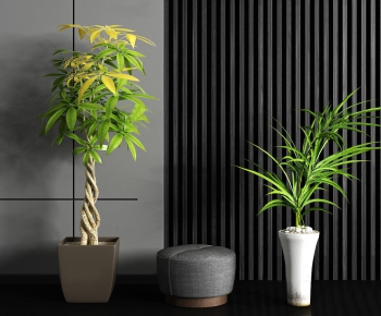 Modern Potted Green Plant-ID:203864623