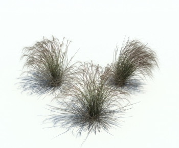 Modern Tree/shrub/grass-ID:108191837