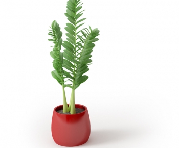 Modern Potted Green Plant-ID:482159491