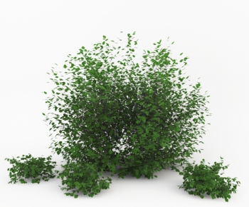 Modern Tree/shrub/grass-ID:584119264