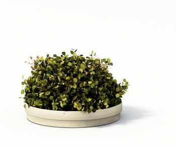 Modern Potted Green Plant-ID:526295815