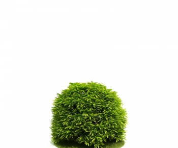 Modern Tree/shrub/grass-ID:431442616