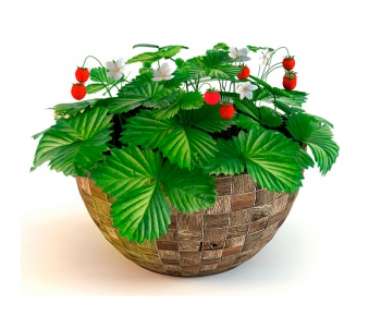 Modern Potted Green Plant-ID:342886222