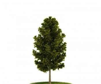 Modern Tree/shrub/grass-ID:446416592