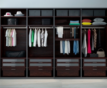 Modern Clothes Storage Area-ID:523822414