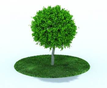 Modern Tree/shrub/grass-ID:387130864