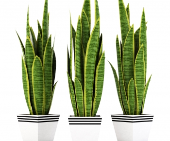 Modern Potted Green Plant-ID:389306696