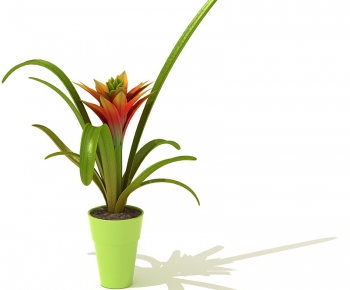 Modern Potted Green Plant-ID:687904867