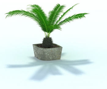 Modern Potted Green Plant-ID:319489247
