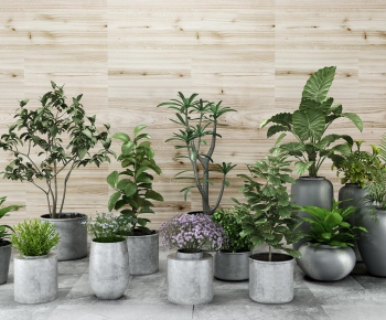 Modern Potted Green Plant-ID:915351951