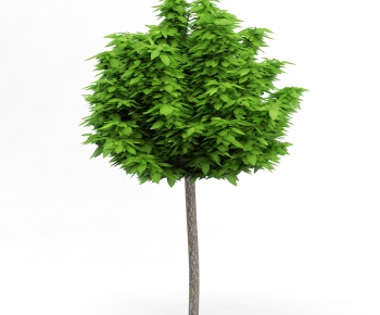 Modern Tree/shrub/grass-ID:584420892